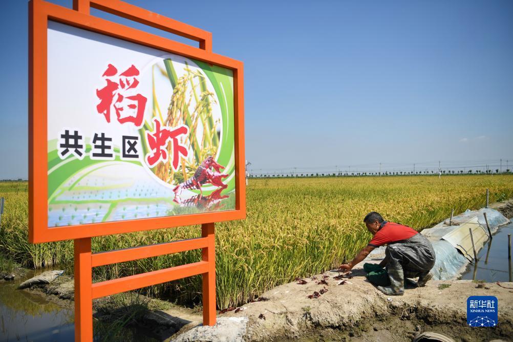 mg国际平台